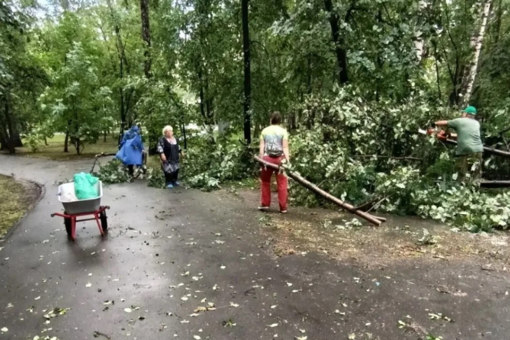 Фото дщирекции городских парков