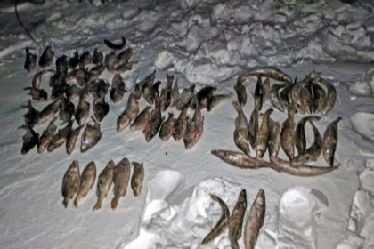 Рыбака с 75-метровой сетью поймали на льду Оби в Новосибирске