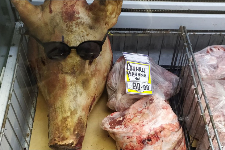 Компенсацию за изъятых свиней получат жители Новосибирской области