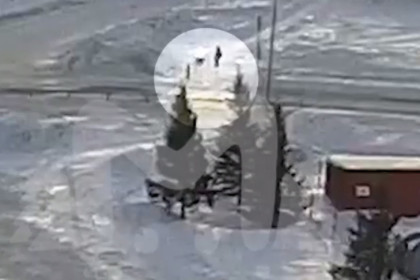 Появилась видеозапись нападения маламута на мальчика под Новосибирском
