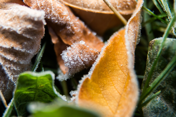 Морозные дни «арктического вторжения» в октябре назвали синоптики Новосибирска