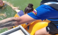 Застряли в воде: сибирячки не смогли выбраться после прыжков с катамарана