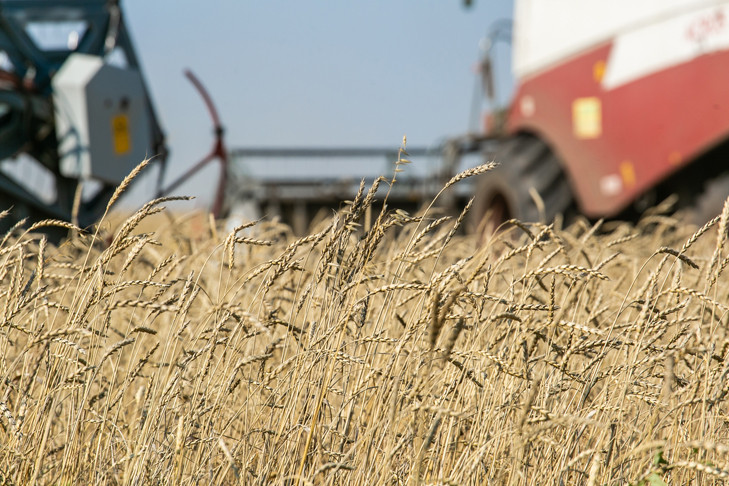 Сбер выдал 5,5 млрд рублей льготных кредитов сибирским аграриям в 2025 году