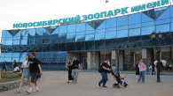 Новосибирский зоопарк присоединится к акции «Ночь в музее»