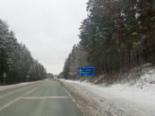 Масштабную экспертизу семян лесных деревьев провели в Новосибирской области