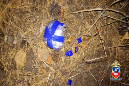 Сеть тайников для наркоторговли создали в Новосибирске граждане Узбекистана