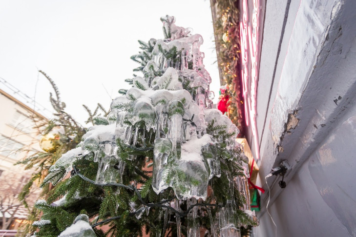 Об опасности новогодних елок рассказали эксперты