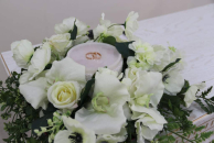 В Куйбышевском районе открыли сезон свадеб