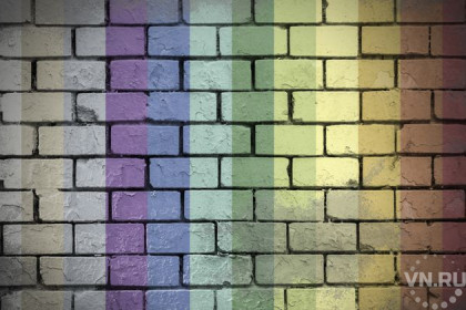 Новосибирский гетеросексуал грабил геев после свиданий