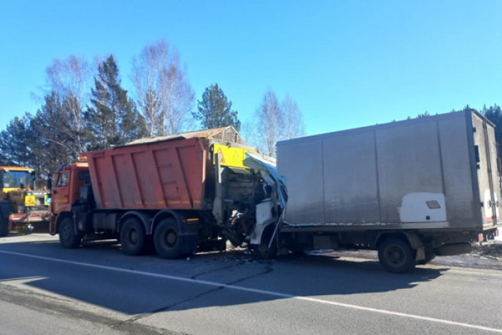 Грузовик врезался в «КамАЗ» с дорожными рабочими: водитель погиб
