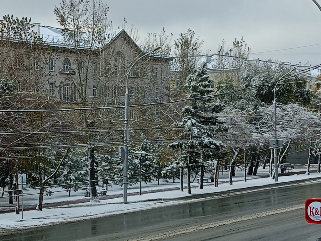 IMG_20251005_114233_978 — копия.jpg