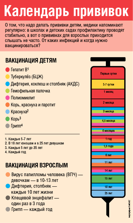 Инфографика про прививки для детей и взрослых. Автор Sanchez