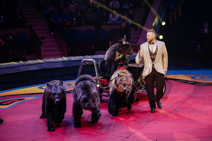 Фото предоставлены пресс-службой Цирка Филатовых