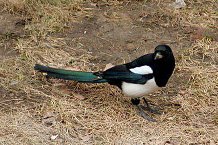 photo_2026-02-08_18-40-52 (2).jpg