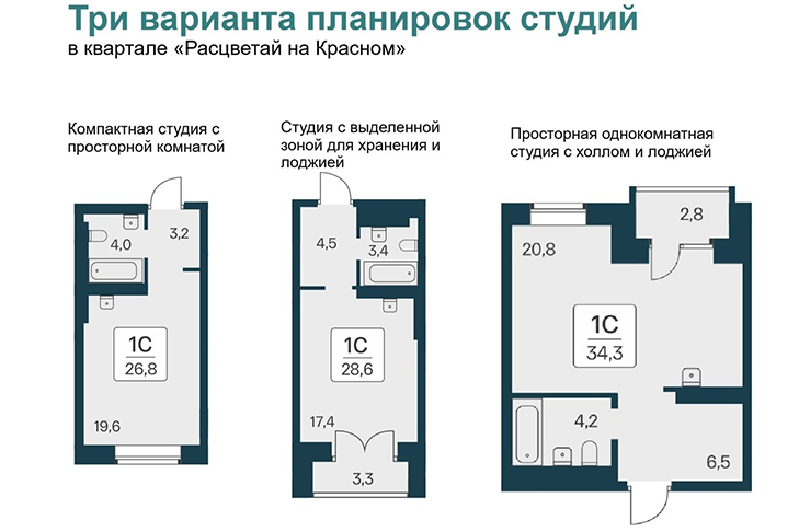 2_1.jpg