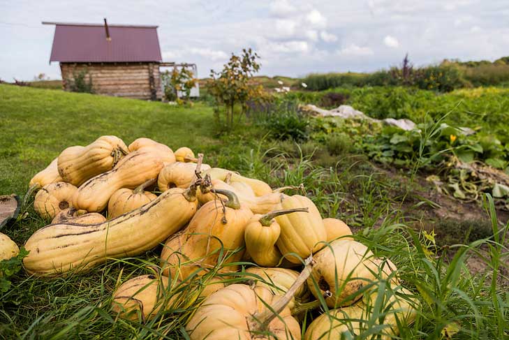 фото Андрея Заржецкого