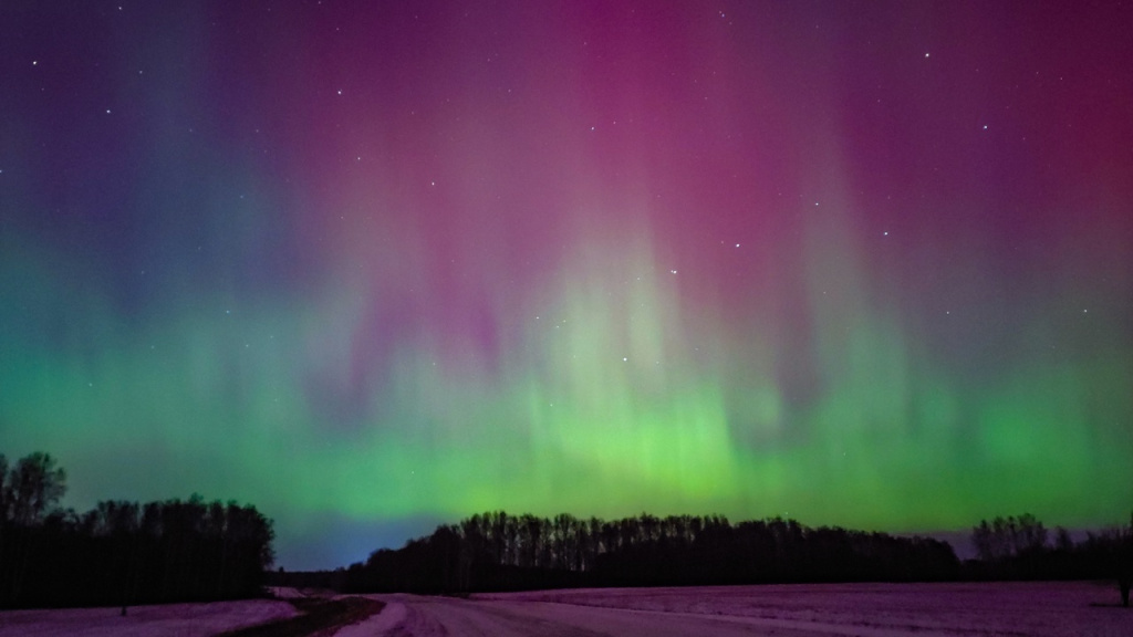 Фото Алексея Полякова J1Ck4ravtX4.jpg