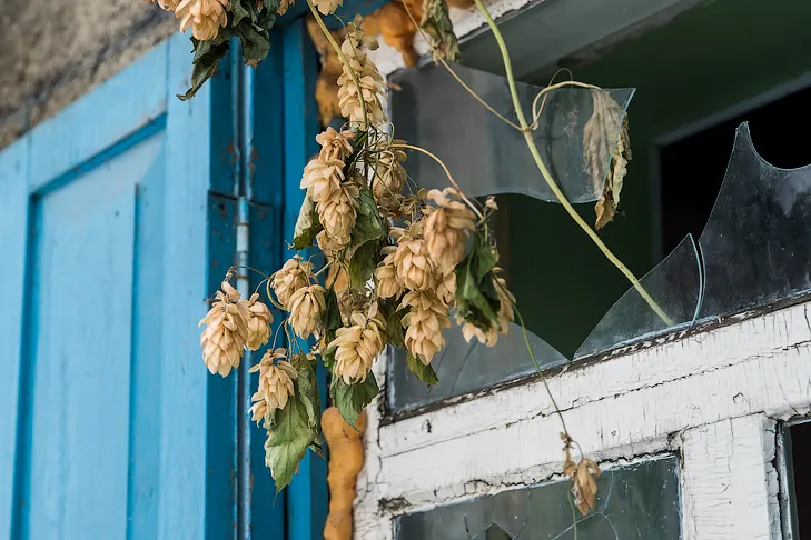 Фото Андрея Заржецкого