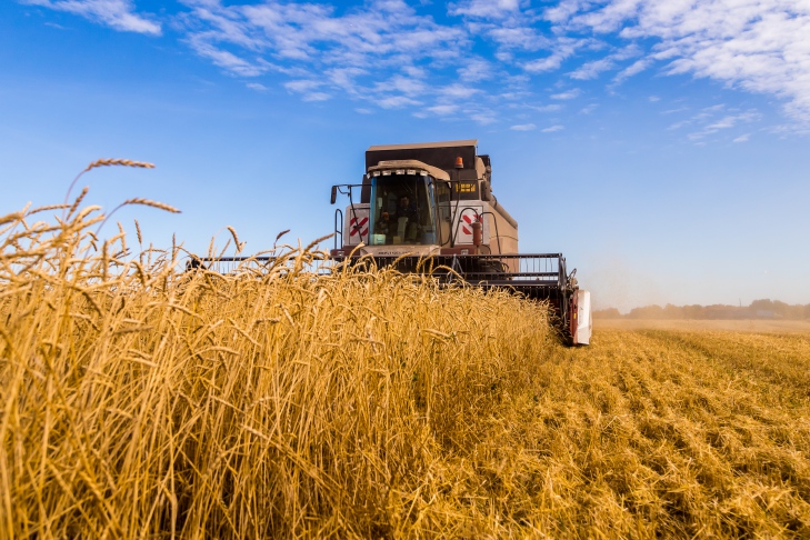 фото Андрея Заржецкого