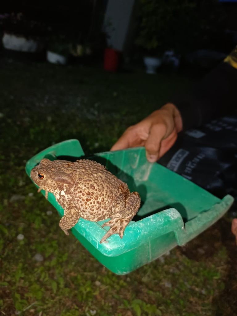 фото Убинский вестник