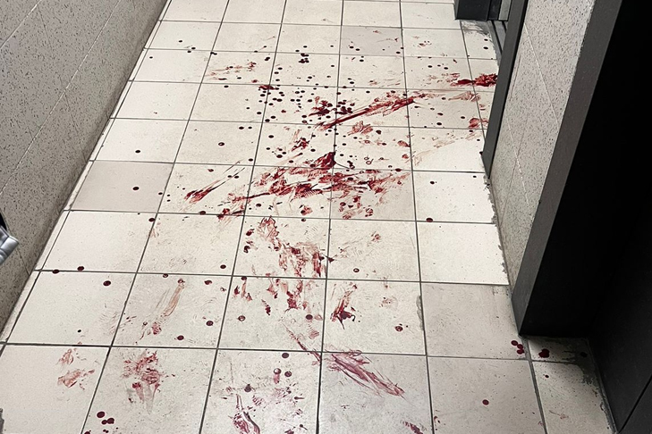 WhatsApp Image 2025-05-29 at 12.48.46.jpeg