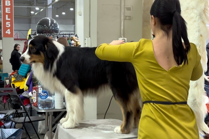 Фото VN.ru MzT27gHjNh6Ri5oSPGX177uAicJLqZ_rjSPvH6eDbfKguXSyWSY01AjtE0HSzxfM__H7Mpehwp01Dxwvg70qYTM_.jpg