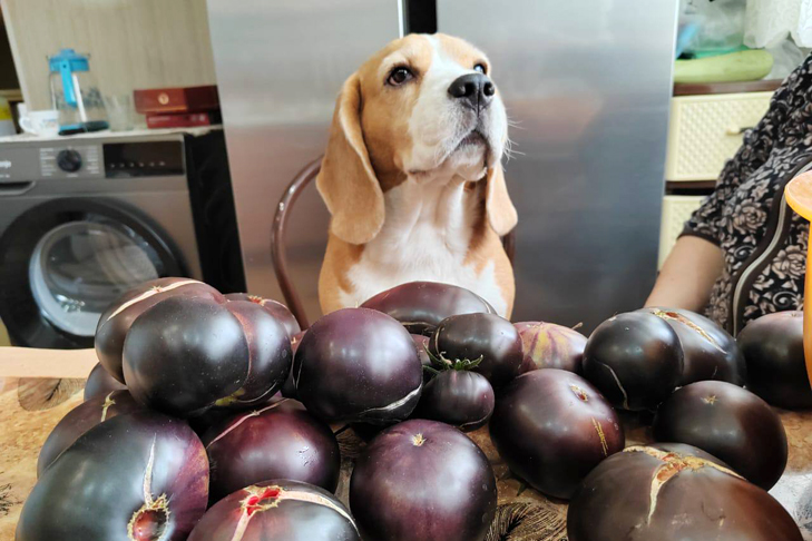 фото Ирины Сердюк