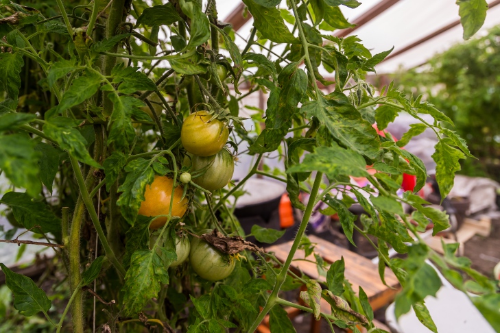 Фото Андрея Заржецкого