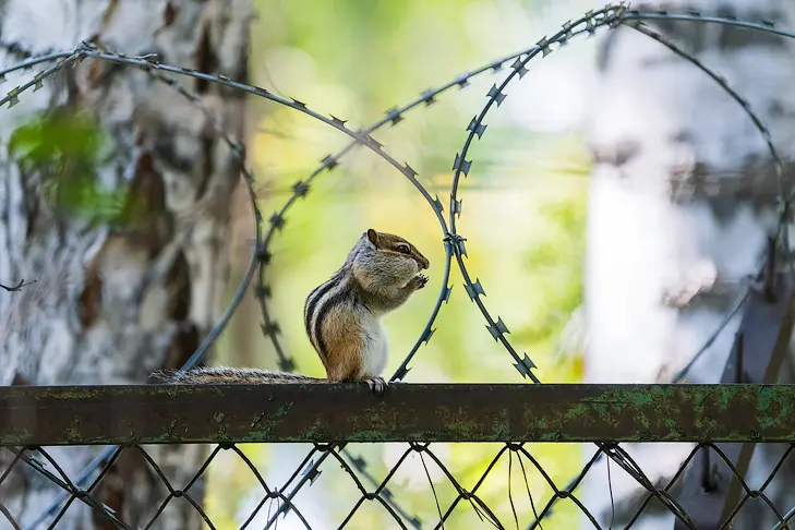 Фото Андрея Заржецкого