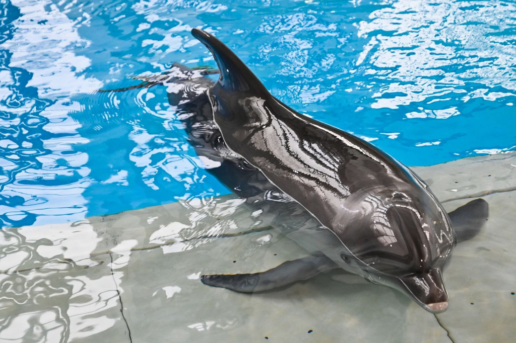 fd6637cf-4ad2-4d5f-b236-5cbef69f05da.jpg fd6637cf-4ad2-4d5f-b236-5cbef69f05da.jpg