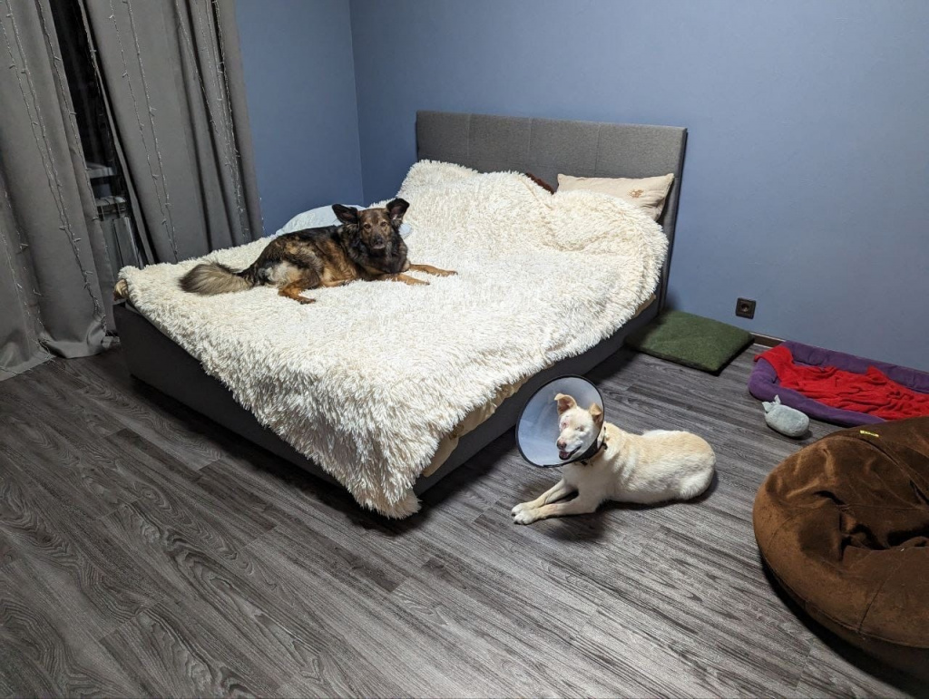 E3hZRTeYAhcP9uZ4HcAp-tn_FbnHhtw5XoSTHRJeAY0O17Kgb7KILJgpVhhNgCQMGWWvgNFn_EBtCk8mGH9AOzeD.jpg E3hZRTeYAhcP9uZ4HcAp-tn_FbnHhtw5XoSTHRJeAY0O17Kgb7KILJgpVhhNgCQMGWWvgNFn_EBtCk8mGH9AOzeD.jpg