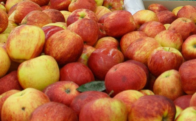 яблоки 1 уваров.jpg яблоки 1 уваров.jpg