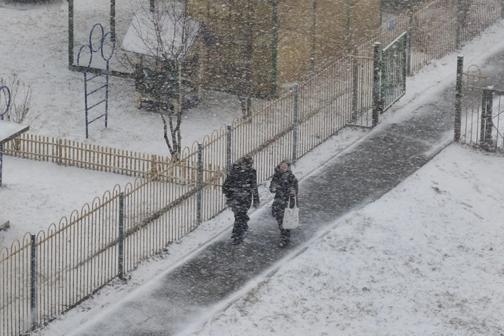 Фото Андрея Заржецкого