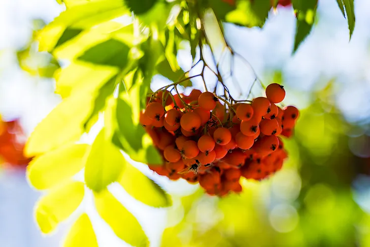 Фото VN.ru 2026-09-02_ЗаржецкийА_0258.webp