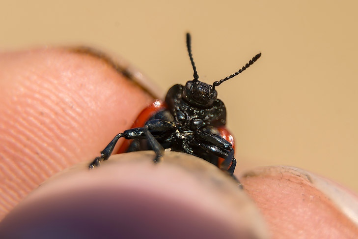 Фото Андрея заржецкого Фото Андрея заржецкого