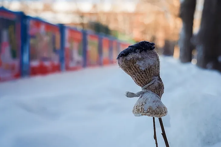 0_2025-12-29 Новогодняя улица.00_02_04_23.Still057.webp