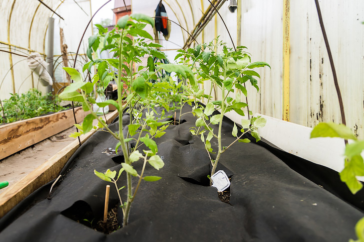 Фото Андрея Заржецкого