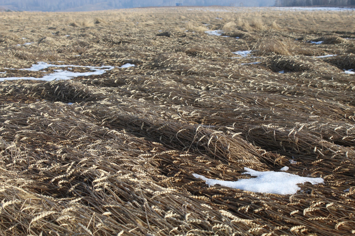 Фото VN.ru 3f58cdb9-c79f-49b9-8146-a86aa7caaa43.jpg