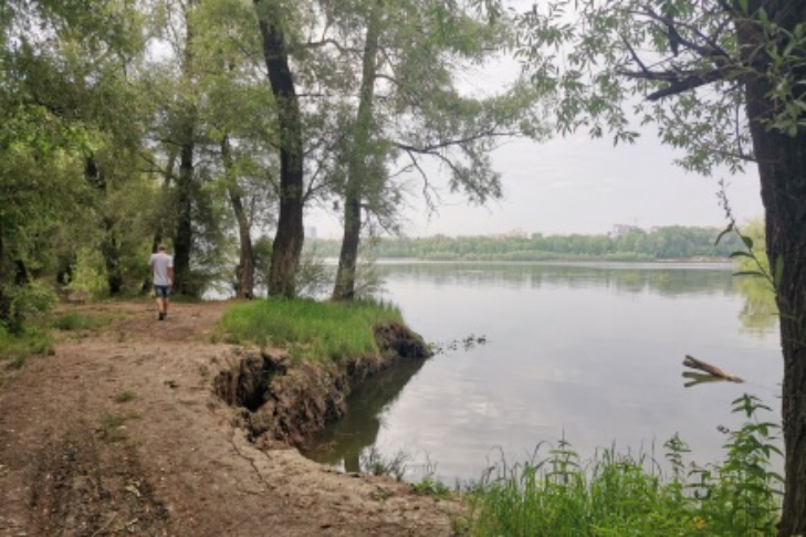 фото с сайта green.novo-sibirsk.ru