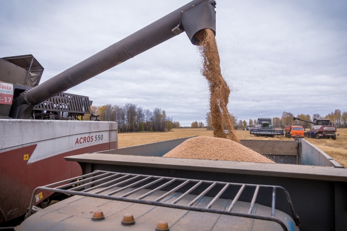фото Андрея Заржецкого