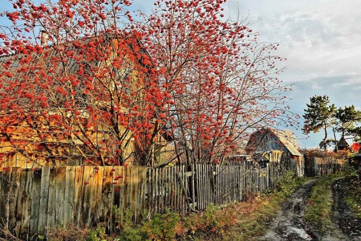 Фото с сайта gardenacademy.ru Фото с сайта gardenacademy.ru