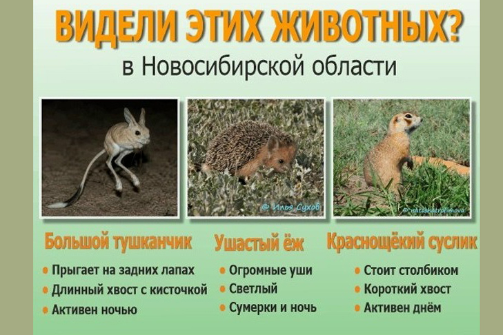ximLcHcUmbAZ5QYxWEm-kZmnQD9t9F4su06SzmdjL1CenwT02WA_e7gfoXyoo08K_hRU6gTVEFw5KpgMLd5pZrK9.jpg