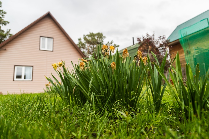 Фото Андрея Заржецкого