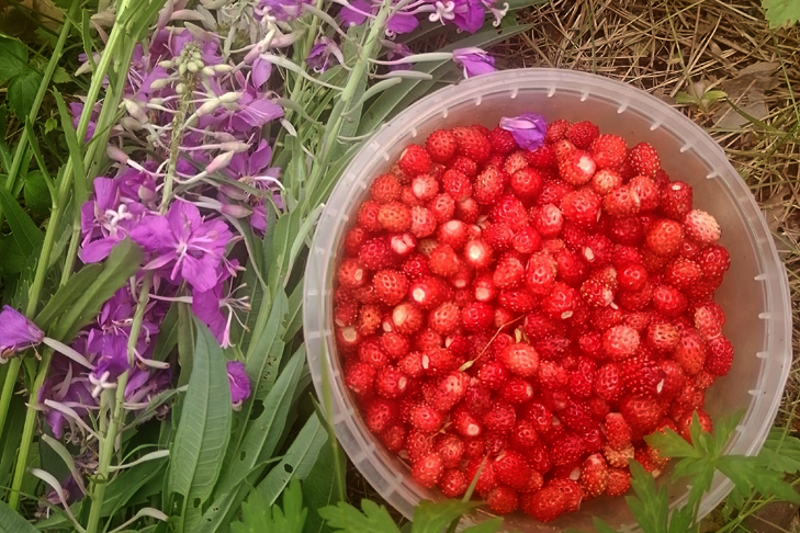 Марина Борматкова1.jpg