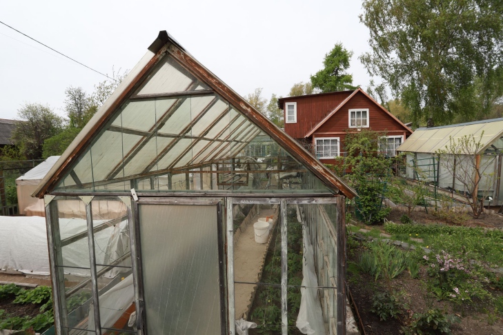 Фото Алексея Танюшина