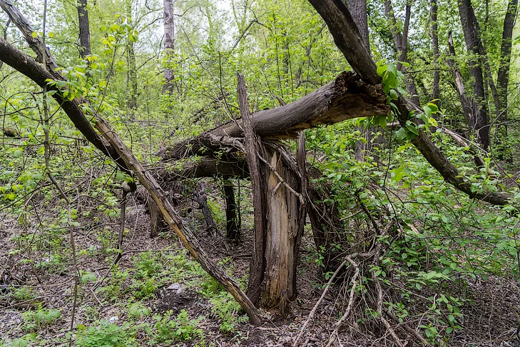 2026-05-13_ЗаржецкийА_0063.webp