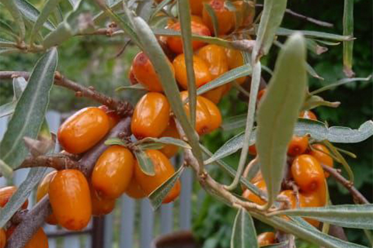 Фото VN.ru photo_2025-08-10_18-50-55.jpg
