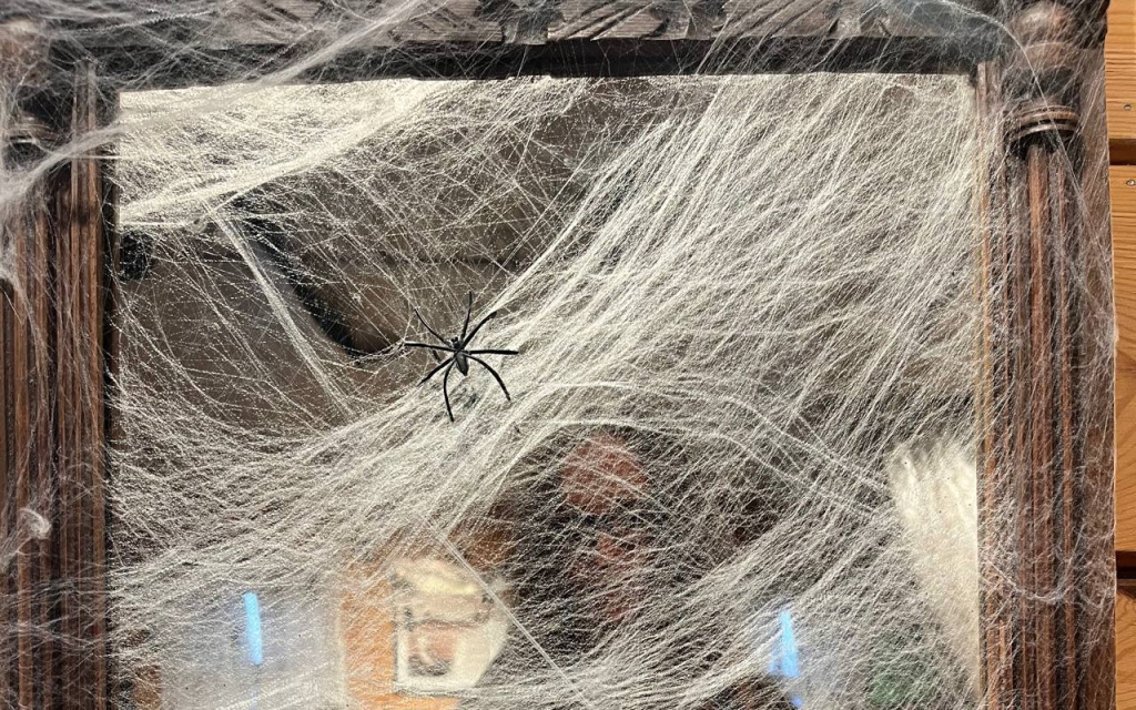 Фото VN.ru photo_2025-11-01_00-31-55.jpg