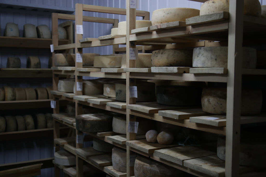 Фото VN.ru 2KKU2969.jpg