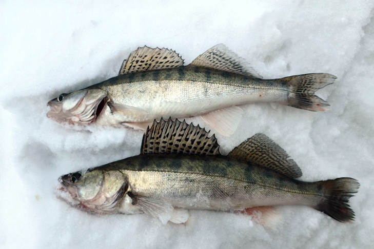 photo_2026-03-09_19-27-08 (1).jpg